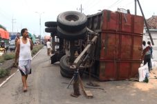 Truk Pakan Ternak Timpa...