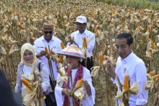 Ini Kinerja Pertanian...