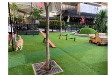 Dog&rsquo;s Dream Park...