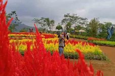 BMKG dan Wisatawan Amati...
