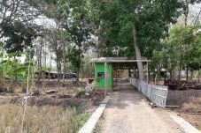 Hutan Jati Binong, Saksi...