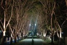 Wisata Alam Kabupaten...