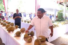 Sambut Tahun Baru 2020,...