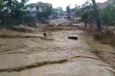 Camat Cipanas: Ada 100...