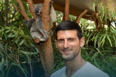 Novak Djokovic Belajar...