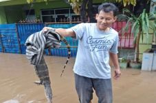 Banjir Surut, Kini Warga...