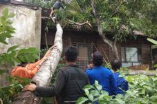 Ratusan Rumah di Wajo...