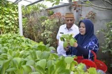Gubernur Gorontalo Dorong...