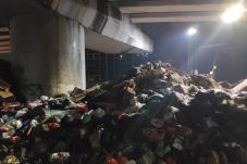 Dinas LH Jakarta Timur...