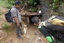 Polisi Buru Pemain dan...