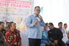 Panen Udang Vaname,...
