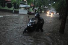 Banjir Besar, Peneliti...