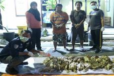 Bisnis Bangkai Ayam...