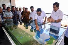 PLN Siap Listriki Gelaran...