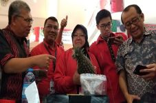 Kunjungi Pameran Rempah,...