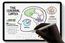Apple Mau Bikin Pensil...