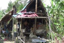 Pasangan Lansia Hidupi...