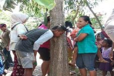 Jember Geger, Pohon...