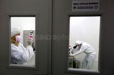 Stem Cell, Tabungan...