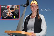 Ashleigh Barty Ukir...