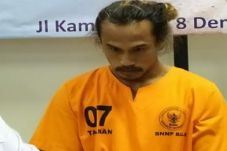 BNN Amankan 31 Kg Ganja...