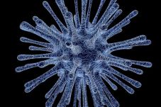 Mengenal Virus Korona...