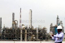 Bangun Petrokimia, Kemenkeu...