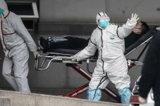 Jumlah Kasus Virus Wuhan...