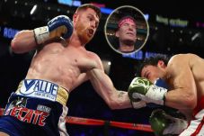 Canelo Kecam Julio Cesar...