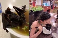 Ini Video Wanita Santap...