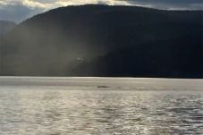 Nelayan Tangkap Makhluk...