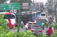 Liburan Imlek, Kawasan...