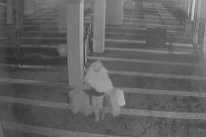 Pantau CCTV, Warga Tangkap...