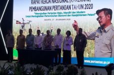 Dorong Kemandirian Pertanian,...