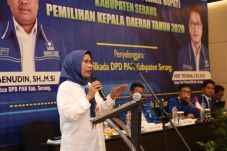 Ratu Tatu: Sukses Kabupaten...