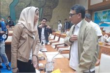 Anggota DPR Milenial...