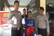Janda di Gunung Bromo...
