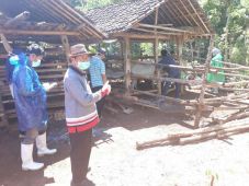 Anthrax di Gunung Kidul...