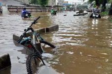 Diguyur Hujan, Puluhan...