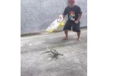 Warga Tangkap Anak Buaya...