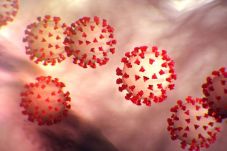 Virus Corona Belum Ditemukan...