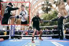Lapar Gelar, Kell Brook...