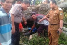 Lihat Sawah, 2 Pelajar...