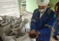 PLN Kembangkan Pelet...