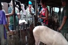 Berada di Permukiman...