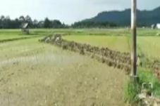Alat Berat Proyek Jalan...