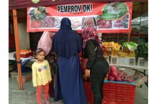 Pemprov DKI Bakal Kembangkan...