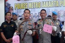 Gengster Melehoy Pembacok...