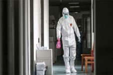 Death Toll From Coronavirus...