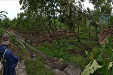 Longsor di Kendal, Jalan...